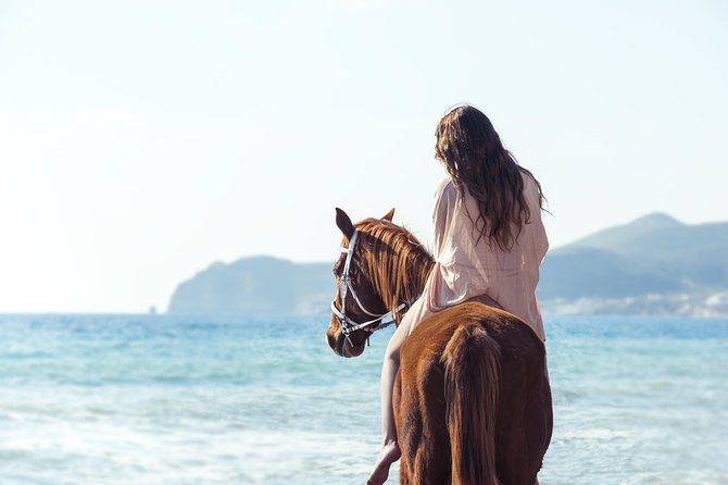 Santorini Horse Riding to Black Sandy Beach - Just The Basics