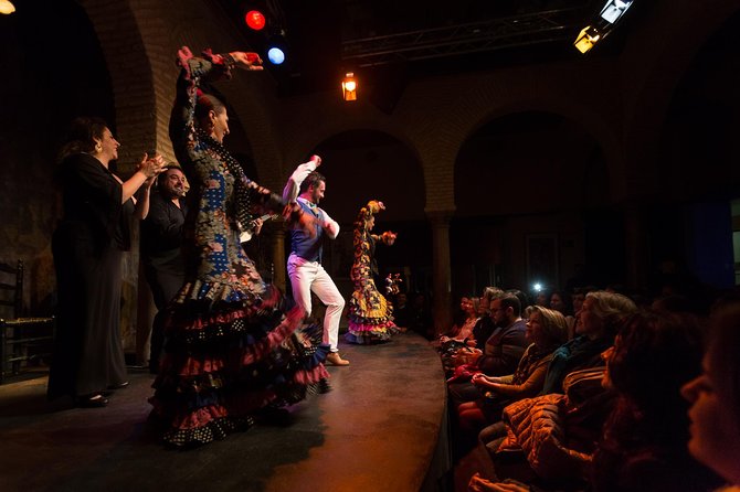 Seville: Authentic Flamenco Show - Flamenco Dance Museum - Just The Basics