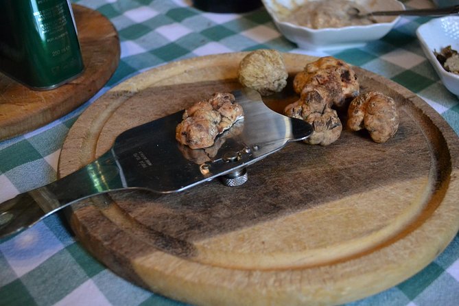 Truffle Hunting Experience With Lunch in San Miniato - Key Points