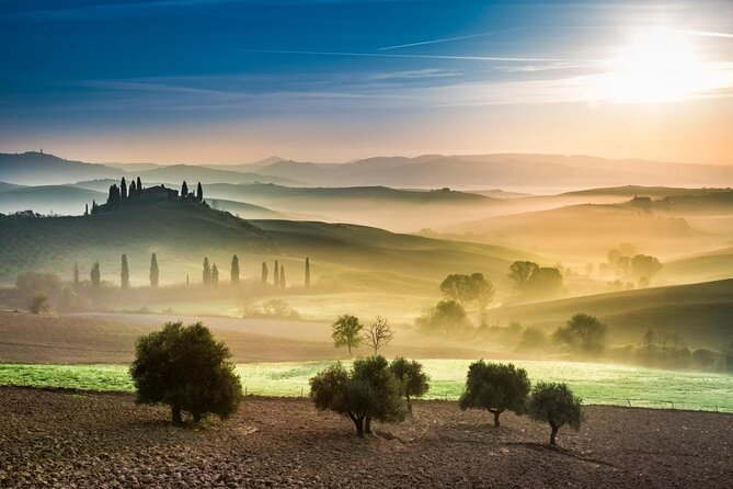 Tuscany Guided Day Trip From Rome With Lunch & Wine Tasting - Just The Basics