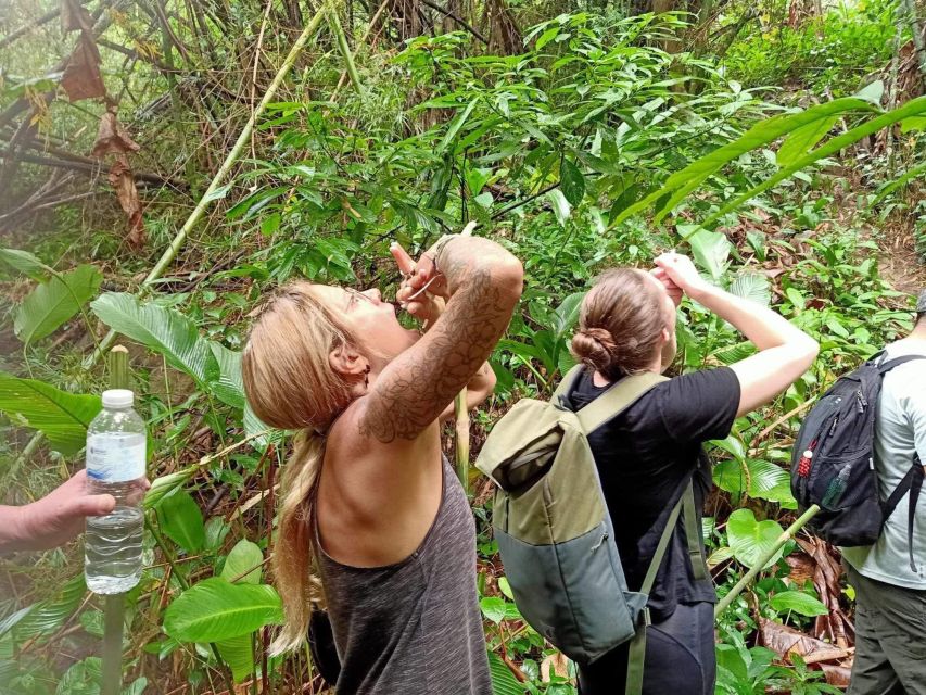 1 Day Trekking : Chiang Rai Popular Activity,Fun in Nature. - Key Points