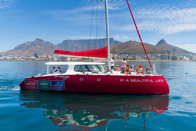 1- Hour Catamaran Cruise Cape Town - Key Points