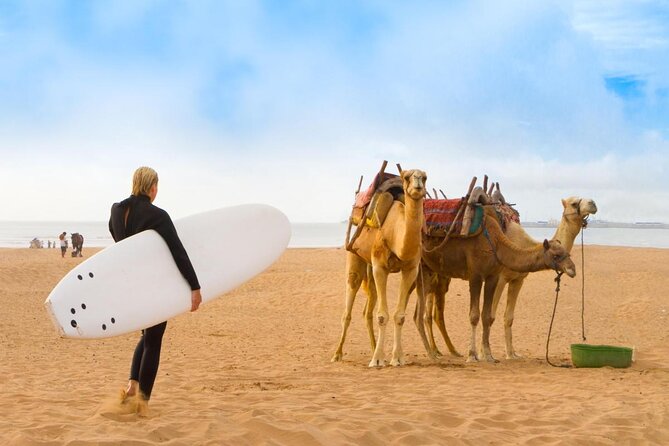 1 Hour Horse Ride on the Beach of Essaouira - Key Points