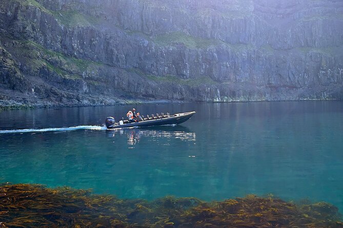 1 Hour Iceland Nature and Wildlife RIB Small Group Guided Safari - Key Points