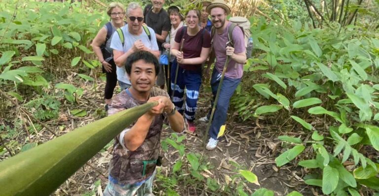 1 Day Trekking : Chiang Rai Popular Activity,fun In Nature. Activity Overview