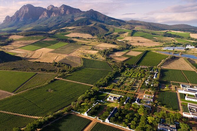 1 Day Winelands Explore Cape Wine Region With Private Transfer Included Experiences