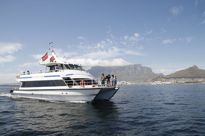 1 Hour Coastal Catamaran Cruise From Cape Town Tour Overview