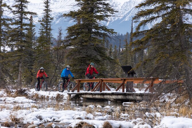 1 Hour Guided Group Fat Bike Tour Overview Of The Tour