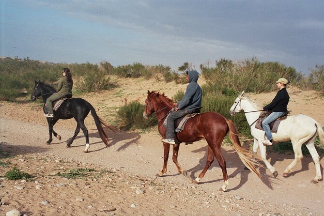 1 Hour Horse Ride on the Beach of Essaouira - Overview of the Tour