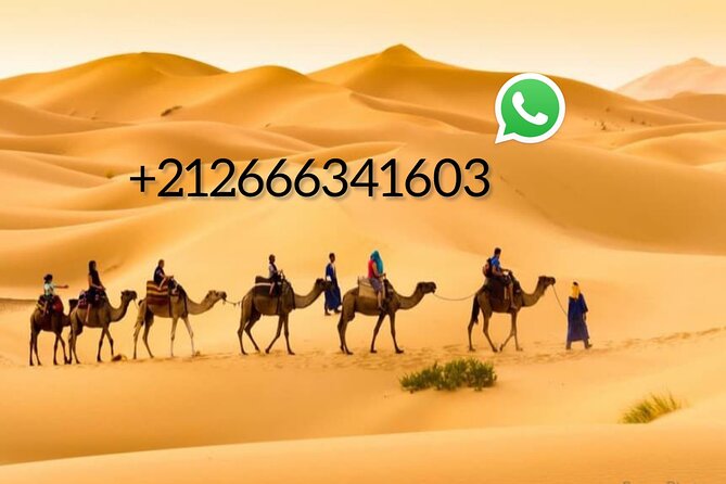 1 Night Camel Trek Over Erg Chebbi Dunes Merzouga No Extra - Overnight Excursion Details