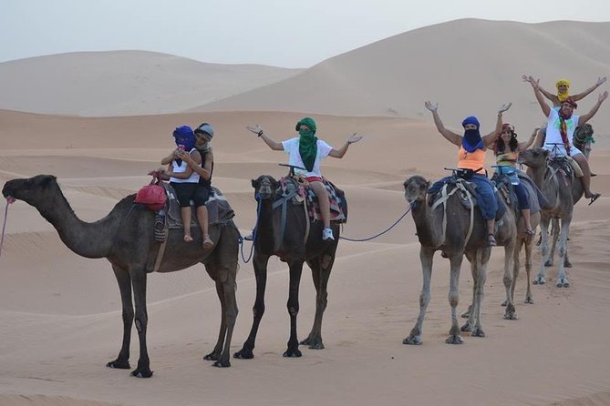 1 Night In Desert Merzouga With Camel Trek Erg Chebbi, Morocco Experience Overview