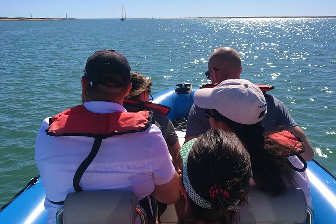 1 Or 2 Hour Speed Boat Tour Ria Formosa What To Expect