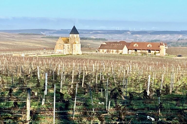 15 Burgundy Wines Chateau Pommard, Chablis Small-Group