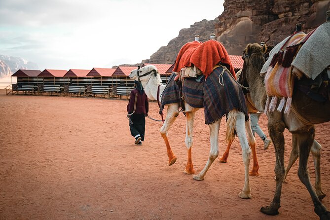 2 Day Jordan Guided Tour Petra, Wadi Rum And Dead Sea Tour Overview