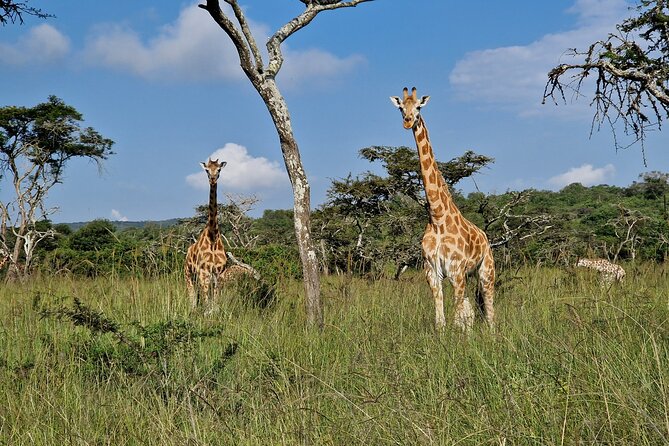 2 Days Cycling Safari To Lake Mburo National Park - Trip Overview