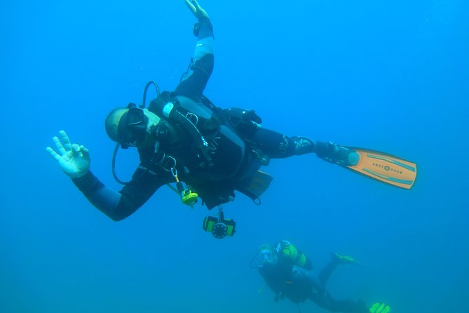 2 Dives Trip Exploring Underwater Reefs