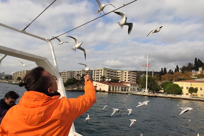 2 Hour Bosphorus Cruise In Istanbul With Guide Overview Of The Bosphorus Cruise