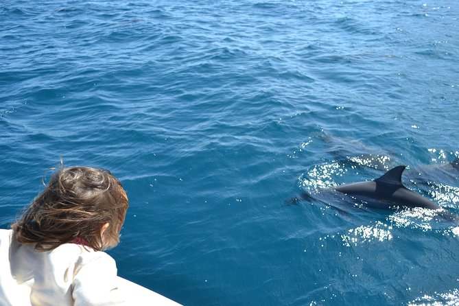 2-Hour Dolphin Excursion in Mauritius