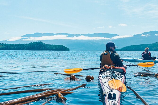 2 Hour Evening Adventure Kayaking Tour Tour Overview