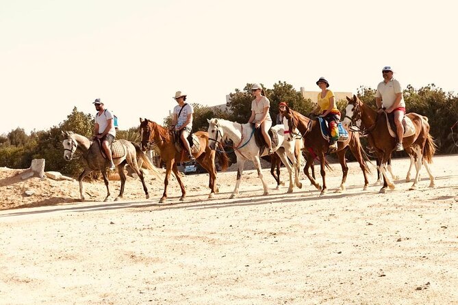 2 Hours Horse Riding on the Sea and Desert- Hurghada - Overview of the Activity