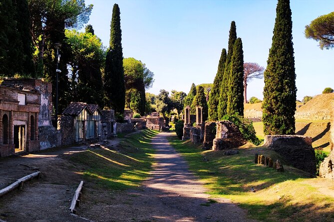 2 Hours Private Tour In Pompeii With Archaeologist Tour Overview