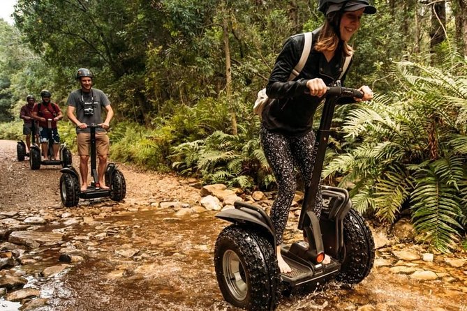 2 Hours Segway Experience In Stormsriver Village Experience Overview