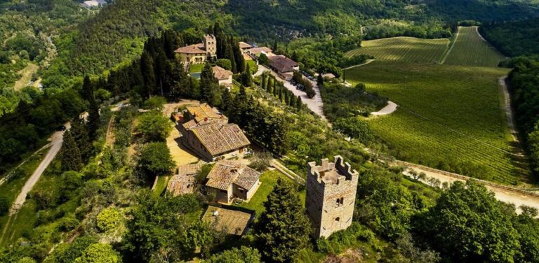 2 Wineries Chianti Wine Tasting Private Tour Tour Details