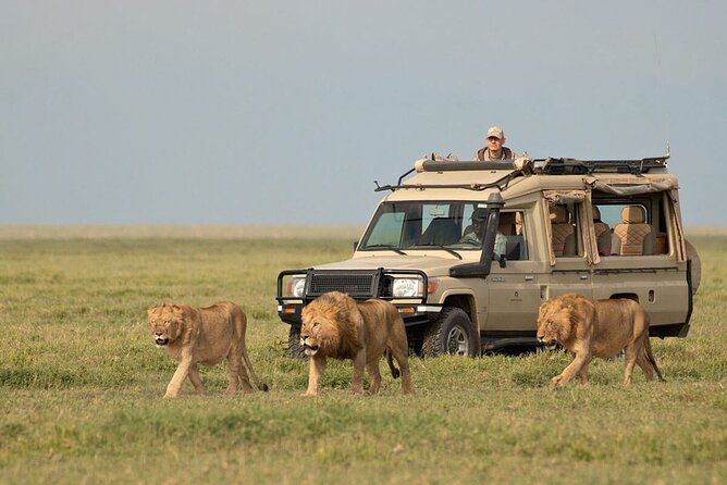 3 Days Safari Ngorongoro Crater And Serengeti National Park Included Amenities