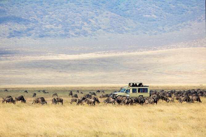 3 Days Tarangire, Manyara & Ngorongoro Budget Lodge Safari Tour Tanzania Tour Overview