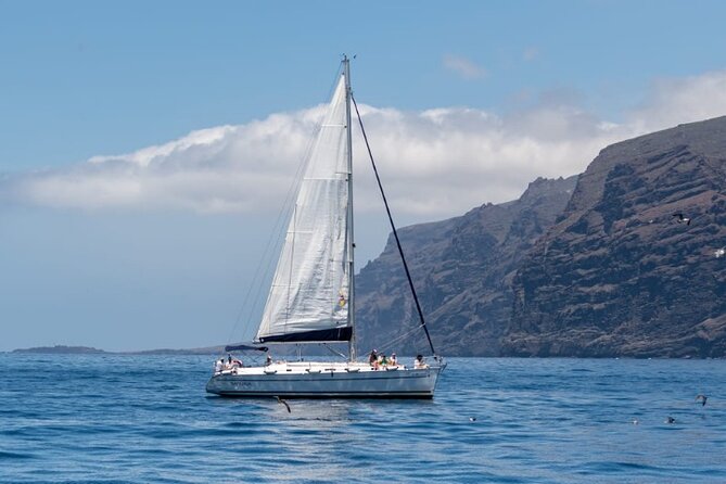 3 Hour Cetacean Watching And Snorkeling Tour In Tenerife Tour Overview