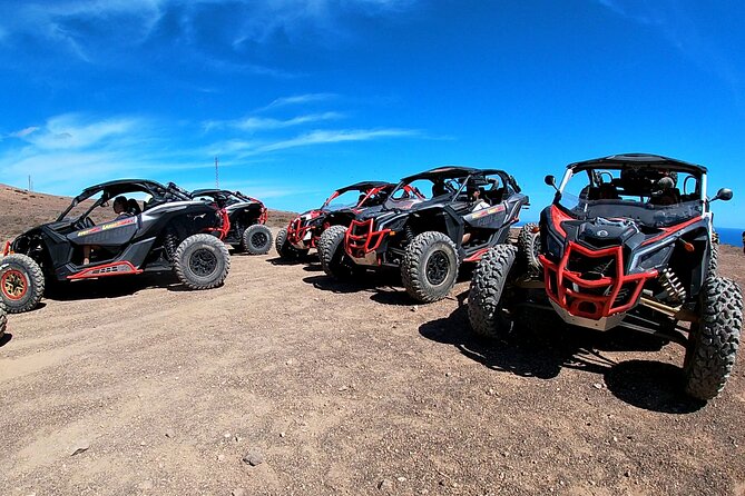 3 Hour Guided Buggy Tour Around the Island of Lanzarote - Tour Details