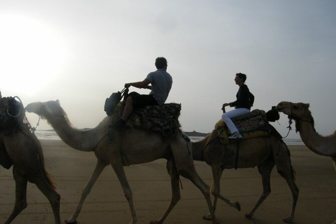 3 Hours Camel Ride In Essaouira With Dinner And Overnight In Berber Camp Desert Camp And Lodging