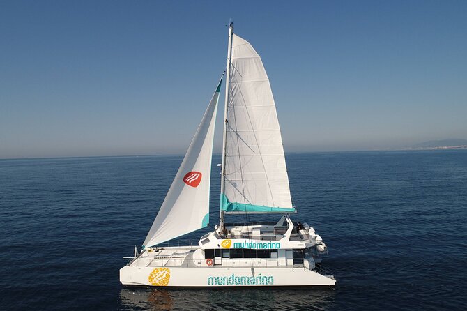 3 Hours Catamaran Tour In Malaga With Paella Included In The Experience