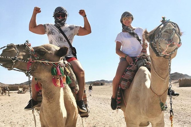 3 Hours Safari By Quad Bike Hurghada Bedouin Village Visit