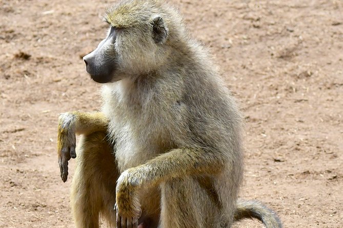 3days Masai Mara Private Safari With a 4x4 Land Cruiser Jeep - Exploring Masai Maras Diverse Landscape