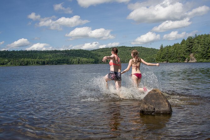 4-Day Algonquin Park Canoe Trip - Itinerary and Highlights