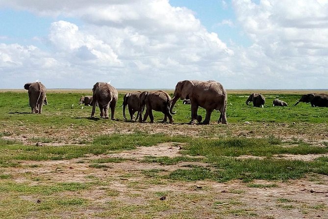 4 Day Safari: Lake Manyara, Serengeti & Ngorongoro Safari Overview