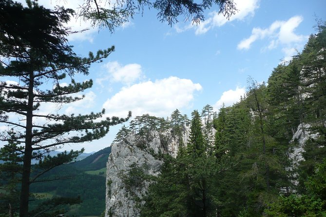 4-Hour Private Alpine Great George at High Wall Mountain From Vienna - Tour Overview