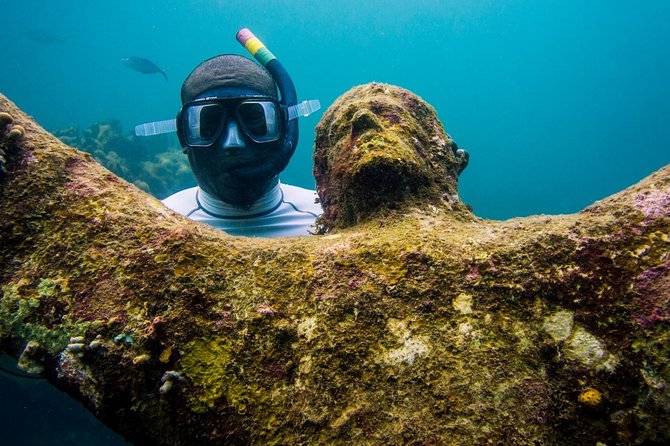 4 Hour Snorkel Cruise To Underwater Sculptures With Boat Dogs Underwater Sculpture Park