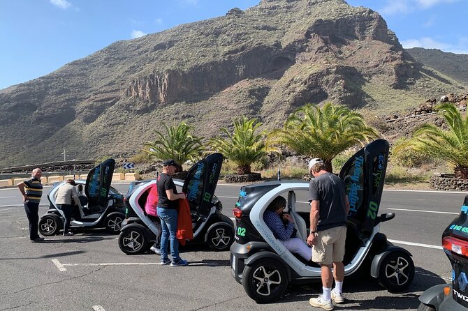 4 Hours Eco Safari Tour With Electric Car in Tenerife