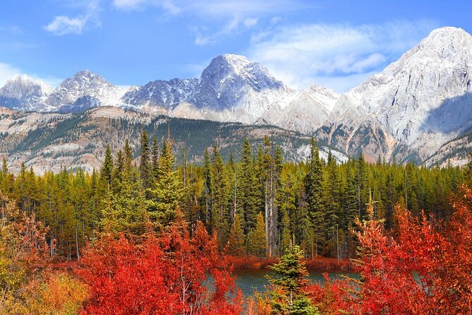 4 Hours Private Tour in Kootenay Plains Trails - Overview of the Tour