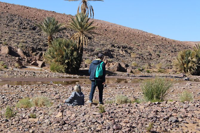 5 Day Trek In The Draa Valley Transportation And Meeting Details