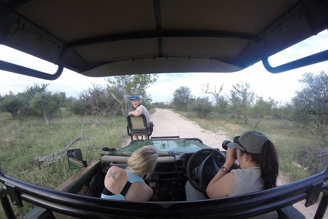 6 Day Lodge and Treehouse Kruger National Park Safari - Two Days of Safaris