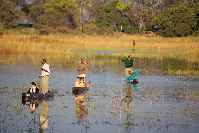 8 Day Chobe And Okavango Delta Tour From Victoria Falls Tour Overview