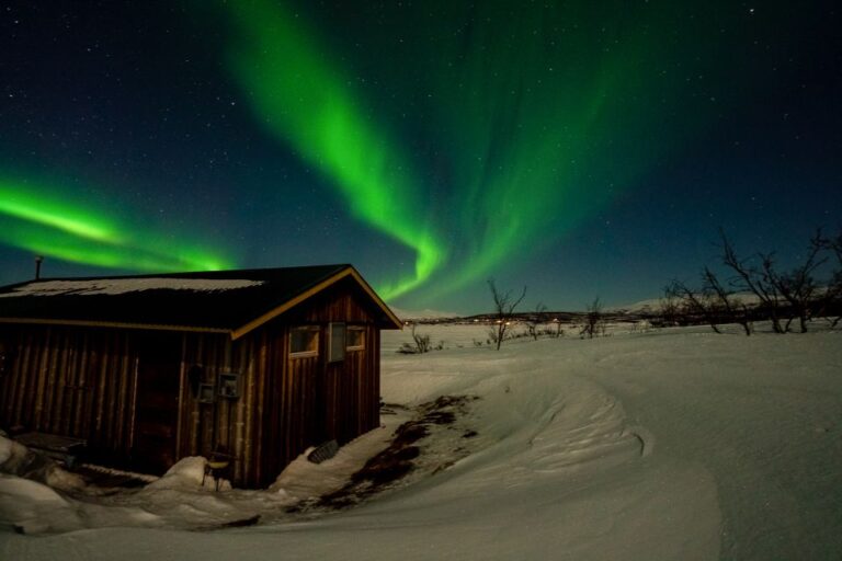 Abisko: Aurora Snowshoeing Tour Details