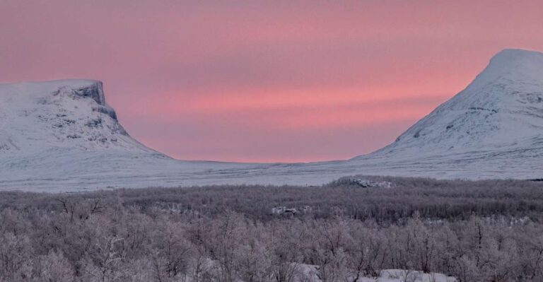 Abisko National Park: Scenic Morning Hike With Transfer Exploring Abisko National Park