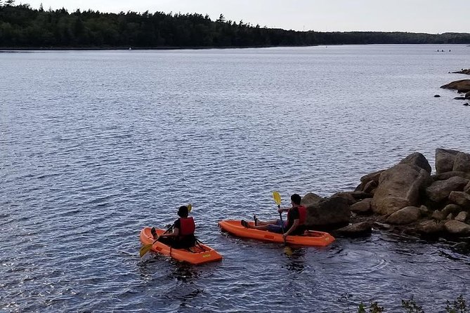 Adult Single Kayak Rental Location And Meeting Point