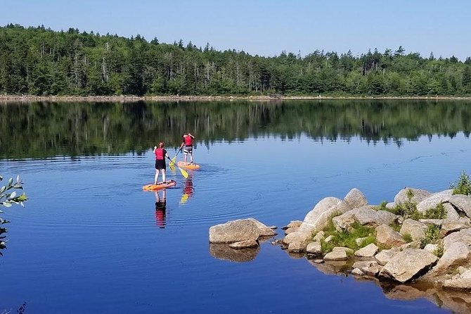 Adult Stand Up Paddle Board Rental Activity Overview