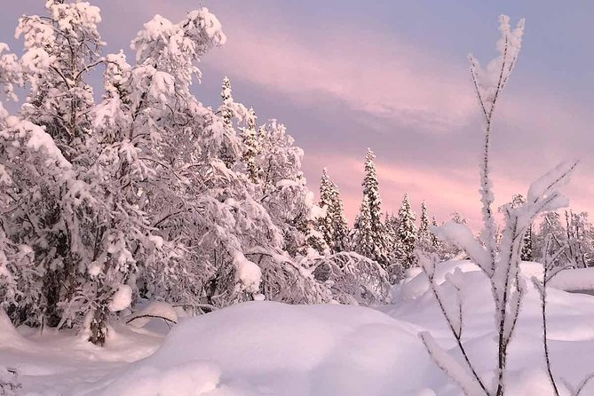 Afternoon Snowmobile Tour Equipment And Safety