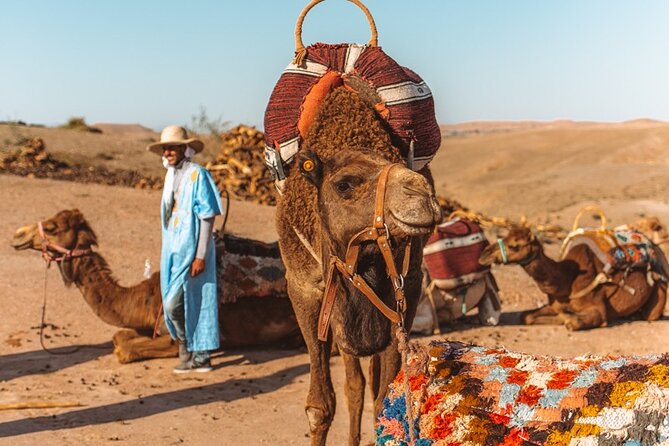 Agafay Desert - Quad Camel and Dinner Show - Quad Camel Riding Adventure